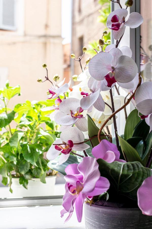 Le Flore